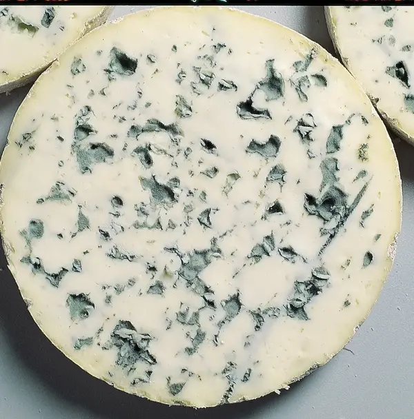Fourme surprise